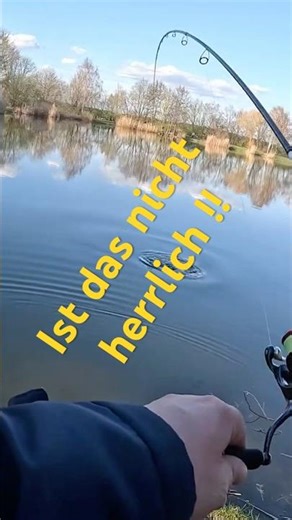 Esox wird verrückt | Zander, Hecht und Barsch … 🎣🐟🎣🐟🎣🐟