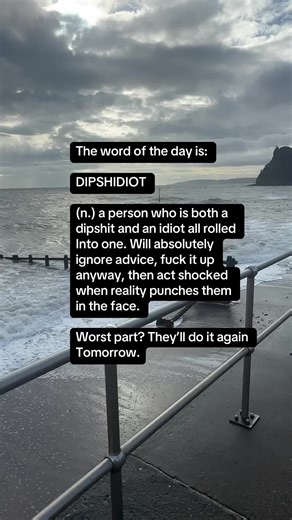 Understanding the Word of the Day: DIPSHIDIOT