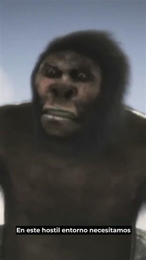 How Did We Become the Humans We Are Today?