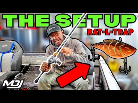 Secrets Of Trapping The PROS WON'T Tell You