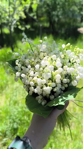 tattoo_line_art на TikTok