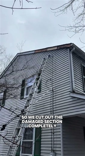 Fascia Repair After a Fallen Tree | Yukor Construction LLC