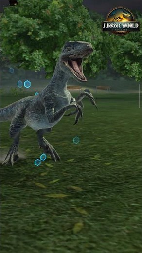 JWA - Blue Raptor Was the beta of Owen Grady's raptor pack...