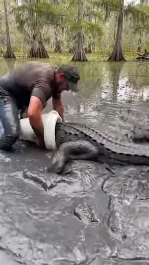 Serene scenery | 🐊 I’ve never been this scared—or this covered in mud—in my entire life. They say things change in a split second out here in the swamp, but... | Instagram
