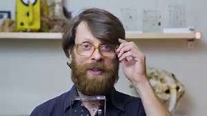 Beginning with amino acids captured during the birth of the solar system, the Fourth Edition of the Mini Museum is an all-new journey spanning billions of years across time, space, and life! Learn More about MM4: https://minimuseum.com/fourth-edition.html P.S. A BIG thank you to Tiny Robot Creative for this beautiful video! ❤️ | Mini Museum