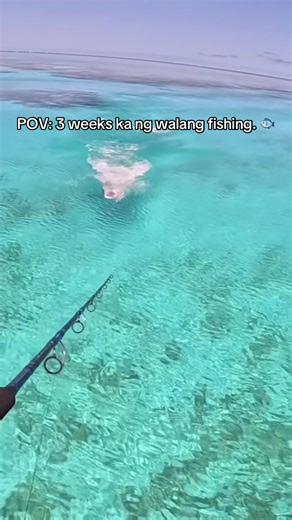 HOOKSET!! Unlocked: The Thrill of Fishing Big Catches
