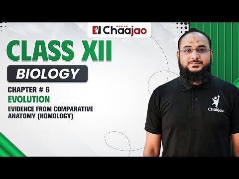 Evidence from comparative anatomy (homology)