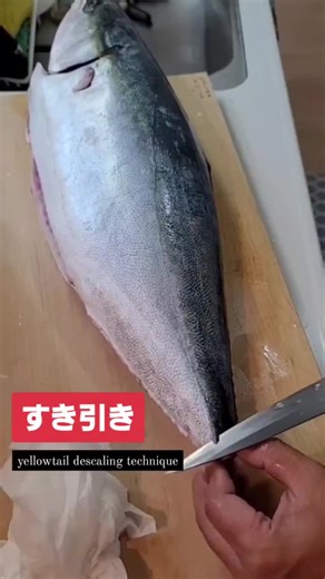 ブリや青物のウロコ取り方はこれが一番 #すき引き #鰤 #青物 #ウロコ取り