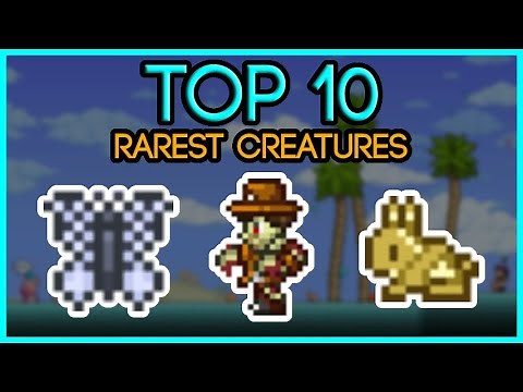 TOP 10 Rarest Creatures in Terraria 1.4.2.3