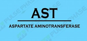 Full Form Of Dmg In Chemistry