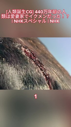 TikTokでNHKさんをチェック！