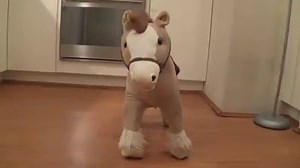 Coming Soon! The Full video will be available for your viewing pleasure tomorrow at http://www.YouTube.com/HowToBasic | HowToBasic