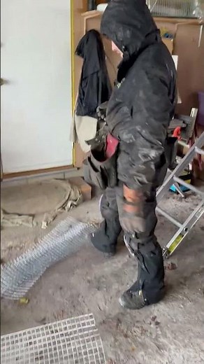 Humane Red Squirrel Removal in Brookfield, WI