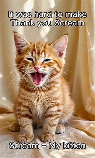 This Sleepy Kitten's Yawn Will Make You Yawn Too! 😴🐱