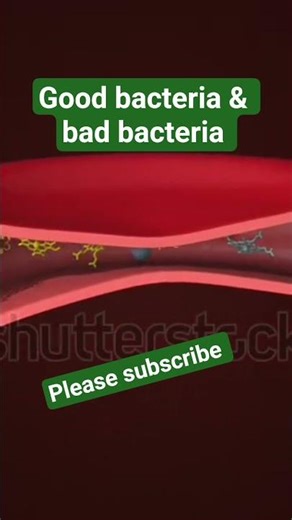 good bacteria and bad bacteria #ytshort #yt #ytshorts #ytshortsindia