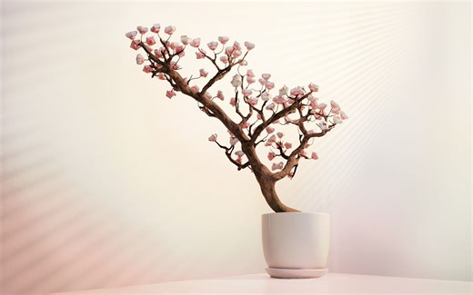 动态视频｜我们用记忆金属做了一盆花...