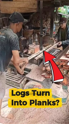 Sawmill Wood Cutting Process | Turning Logs into Perfect Planks