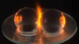 The cause of the phenomenon 'plasma is generated when grapes are microwaved in the microwave' finally reveals