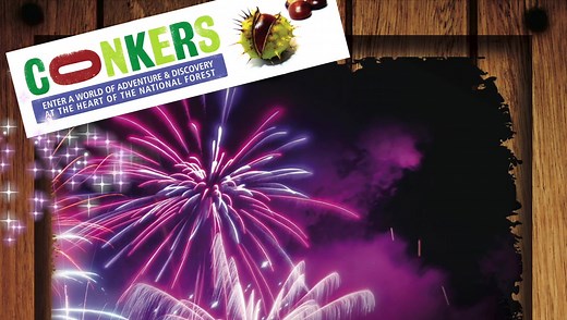 The best fireworks display and laser show in The National Forest! Doors will open at 5.30pm and the show starts at 7.30pm. In addition to the spectacular fireworks show, there will be: A Laser Show Disco Fairground Amusements Face Painting Balloon Modelling Tombola For 2018 we are also including a range of craft activities for children! | Visit Conkers