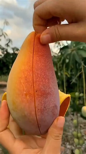 Fruit Cutting Magic |#satisfying#trending#viralvideo#fruit#farming#foryou#viral