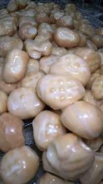 Double dipped honey glaze donut holes. Scotty’s favorite donut to enjoy for a quick treat!