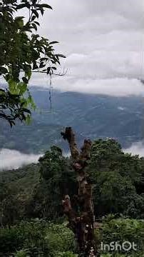 View from Bedroom of Gyamtsho Homestay @8101215860 #aritar #sikkim #shortsfeed #shorts #trending