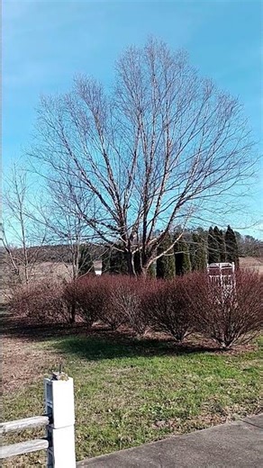 Kentucky Crazy Weather Updates - Update #2 - 12/20/2025