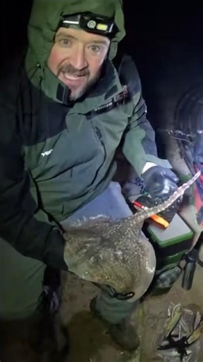 Fishing for Thornback Rays with Red Herring #thornbackray #redherring #fishing #fishinglife