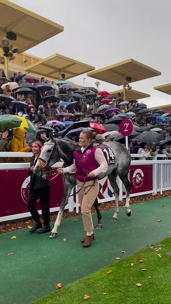 17K views · 288 reactions | C’est parti pour le Qatar Prix de l’Arc de Triomphe édition 2022 朗 | ParisTurf | Facebook