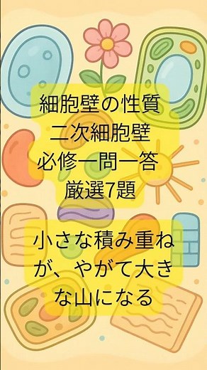 細胞壁の性質、二次細胞壁