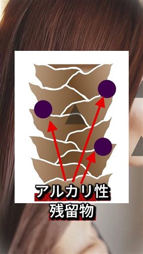 白髪染めの方におすすめ！色が抜けにくいシャンプー #shorts #白髪ケア