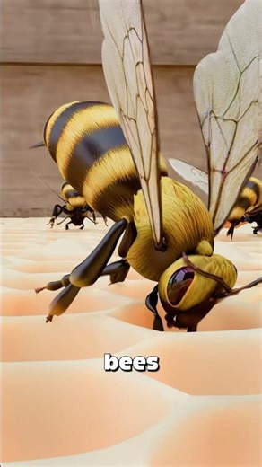 Worker Bees Eat Their Own Failed Sisters 😨🐝#insects #bees #nature