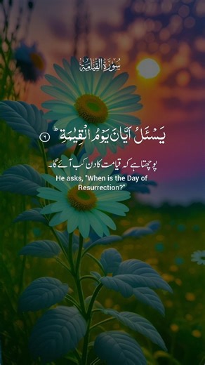 Holy Quran Recitation|Surah Al Qiyama|Tilawat Vedio|Tilawat e Quaran