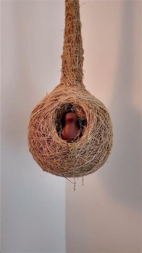 Home decor - ₹1100 - Aesthetic home finds from a local store #homedecor #home