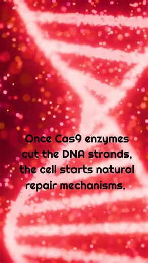 DNA repair mechanisms #biotechnology #biology #cellbiology #dna #usmle #molecularbiology #science