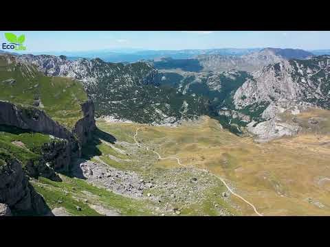 🌿 ECO LIFE | Priroda Žabljaka iz drugačije perspektive