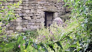 Video credit: Twycross Zoo | Coventry Live