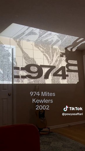 pouyasaffari on TikTok