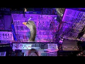 Neo Ventilator 2 Modular