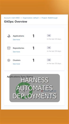 Harness Explained: Everything You NEED To Know