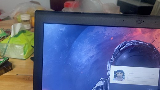 manjaro linux开机美化