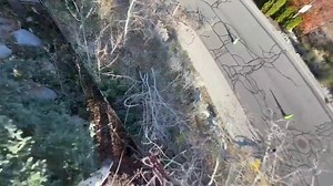 1.1K views |  Curious how our tree services work from start to finish? Today, Josh is breaking it all down with a simple, step-by-step walkthrough of our process. #TreeService #TreeCare #TreeTrimming #TreeRemoval #StepByStep #BestInUtah #Stihl #Arborist #SaltLakeCIty #Utah | Rent A Monkey Tree Service | Facebook