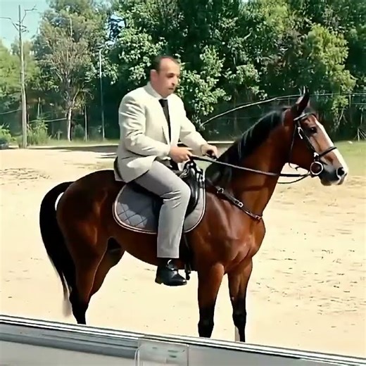 ٢٣ نوفمبر ٢٠٢٥