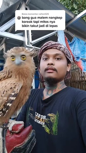 Discovering the Fascinating World of Korean Birds