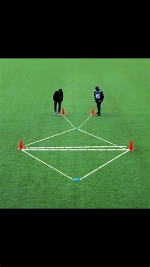 Improve your agility | Dog Agility