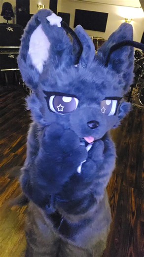 this is a draft post!, I'm making more videos tomorrow! #foryoupage #furryfandom #fursona #followme #fursuit