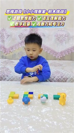 Little Observer: Boost Cognitive Skills with Block Building Fun