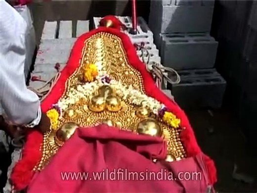 DIY for dressing up an elephant, Kochi