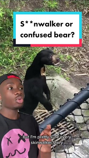 The sun bear’s natural enemy is the camera #bear#nature#learnontiktok | Polar Bear