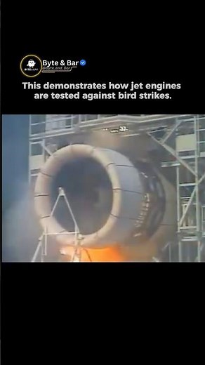 This Is How Jet Engines Are Tested Against Bird Strikes! 💥 | Extreme Aviation Safety Test